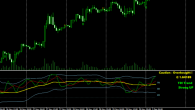 Traders Dynamic Index