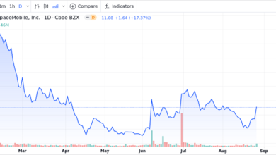 ASTS Stock Forecast for 2025