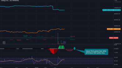 CXAI Stock Forecast