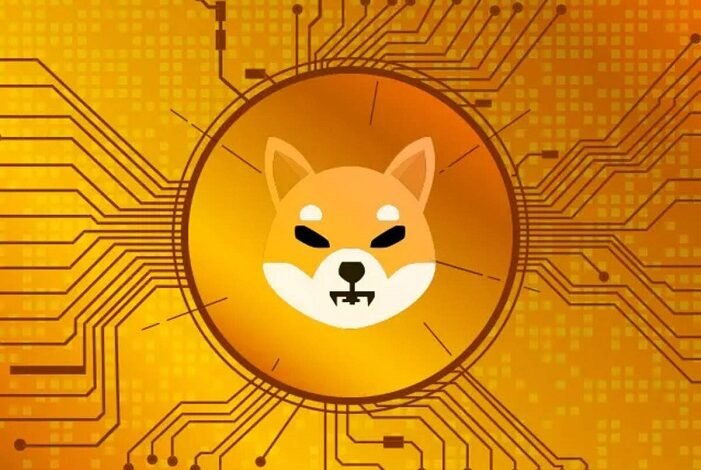 Shiba Inu Coin